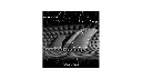 308.webp